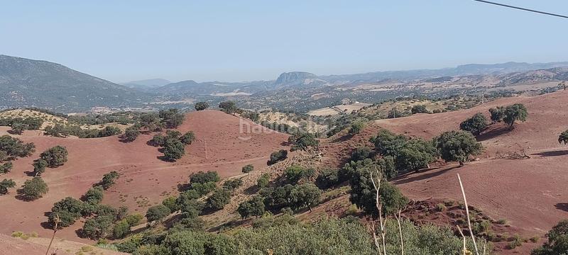 Foto 40bbd42b-09c7-4a2f-b300-a92389ef3741. Finca rústica a Gastor (El)
