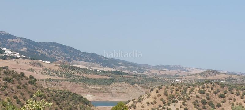 Foto 92e41f1e-cc24-4bde-b005-d044554323e3. Finca rústica a Gastor (El)