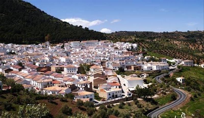 Foto ac50c886-749f-480f-a9c3-f50f26069b30. Finca rústica a Gastor (El)