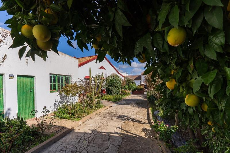 Foto 9380c50c-063d-4bd8-8d9f-41c03d869d95. Xalet amb aparcament piscina a Trigueros