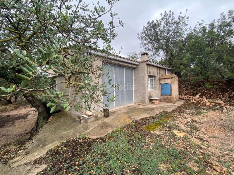 Foto 647d496b-936b-4156-8b86-b8ccc585320d. Finca rústica  con olivos junto al canal xertacalig con agua, luz y almacén en Roquetes