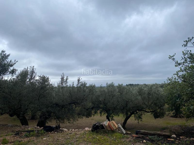 Foto 843df556-4391-4323-9967-35b654571d14. Finca rústica  con olivos junto al canal xertacalig con agua, luz y almacén en Roquetes