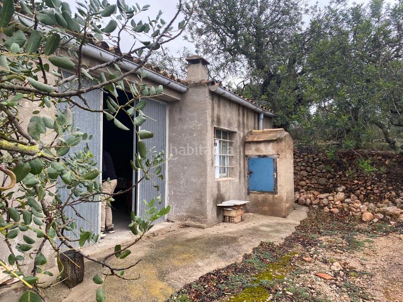 Foto b1afcd27-a320-419d-b9f0-9f2c680cf34b. Finca rústica  con olivos junto al canal xertacalig con agua, luz y almacén en Roquetes