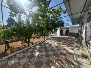 Masia a Alcalá la Real. Cortijo reformado con piscina en alcalá la real  vive entre la t