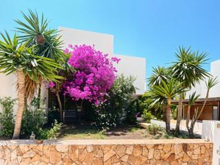 Doppelhaus in Filon (rd) 8. Casa buganvilla un refugio exclusivo en el corazón del parque na