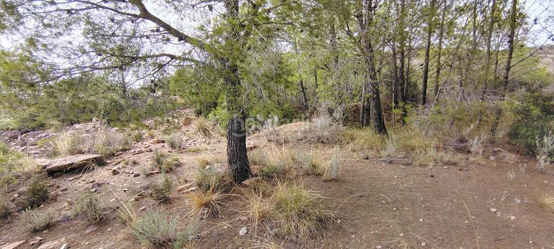 Foto 0323c361-7d15-44d6-9bf1-e0859c4e27a9. Rural plot in urbanizacion el roden 328 in Segart