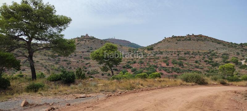 Foto 11b19771-8520-4bd0-97ee-5e6b81e36d0f. Rural plot in urbanizacion el roden 328 in Segart