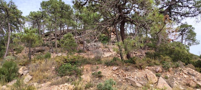 Foto 1a04f15c-64f8-450a-9095-78bf27ce5df5. Rural plot in urbanizacion el roden 328 in Segart