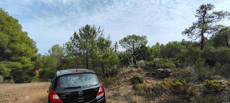 Foto 1e690a2f-af39-416c-b8ec-1c25e9f05af9. Rural plot in urbanizacion el roden 328 in Segart