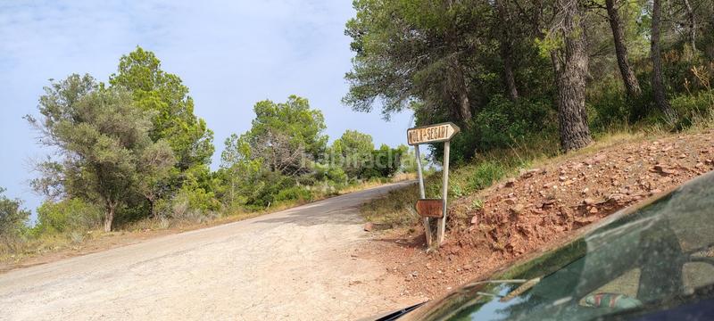 Foto 2ddbcf0f-55e8-4d33-b92f-bbb8fdca4704. Rural plot in urbanizacion el roden 328 in Segart