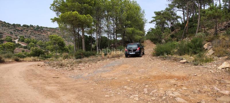 Foto 3d36009e-8584-40d6-99c7-9125c5722748. Rural plot in urbanizacion el roden 328 in Segart