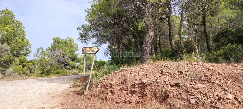 Foto 44c7664a-0f32-4fb6-bb6c-b22cb77bc48b. Rural plot in urbanizacion el roden 328 in Segart