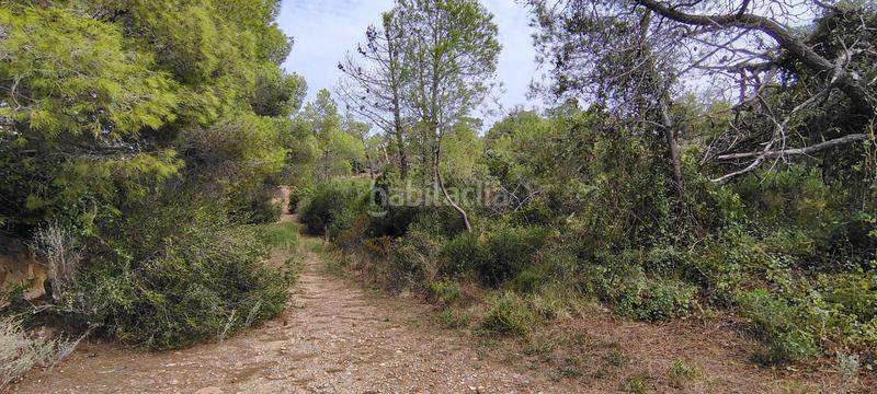 Foto 44f0cae0-fa6d-41cf-b8db-59fdfe418142. Rural plot in urbanizacion el roden 328 in Segart