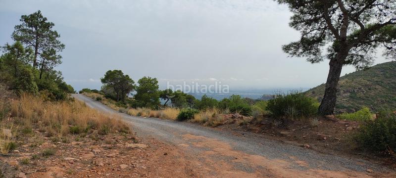Foto 60d624a9-40d8-4690-9d3d-812f23088baa. Rural plot in urbanizacion el roden 328 in Segart