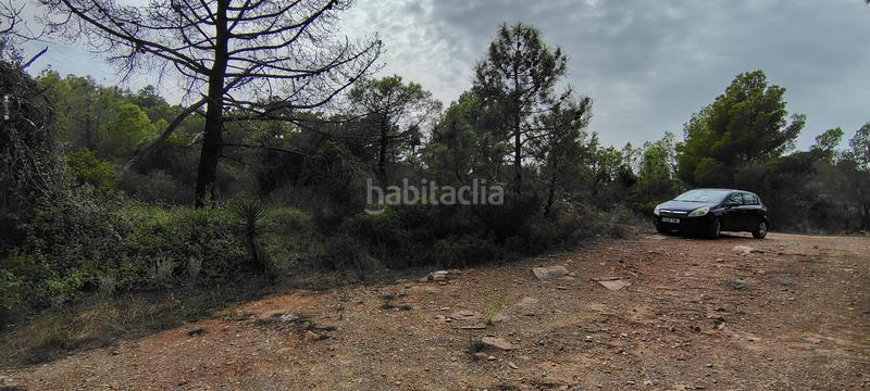 Foto 62c056c8-822d-4418-bcf5-1e0a0b058671. Rural plot in urbanizacion el roden 328 in Segart