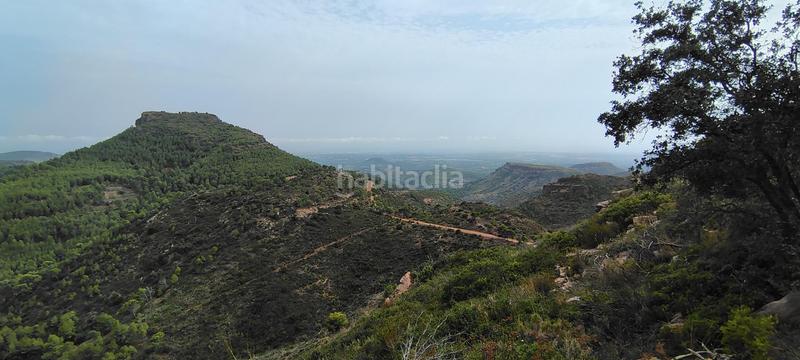 Foto 645f90b8-484e-4a21-a6aa-7f109be0e05a. Rural plot in urbanizacion el roden 328 in Segart