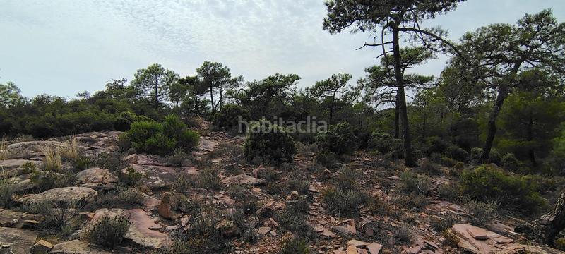 Foto 663c1c9e-501c-4819-afcd-689e881b8656. Rural plot in urbanizacion el roden 328 in Segart