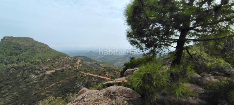 Foto 68e27e28-46eb-4c96-9a19-6418c5c874c5. Rural plot in urbanizacion el roden 328 in Segart