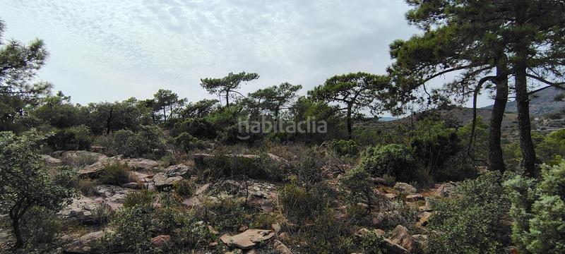 Foto 72599436-b17f-4768-a4e8-ca32d324fdb8. Rural plot in urbanizacion el roden 328 in Segart
