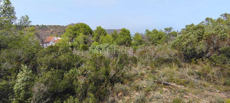 Foto 7f6b9f63-0241-40d3-9d65-7125d2aaafe6. Rural plot in urbanizacion el roden 328 in Segart