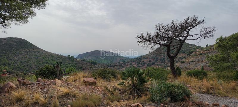 Foto 82a56263-2e64-4f85-9167-8130452a961b. Rural plot in urbanizacion el roden 328 in Segart