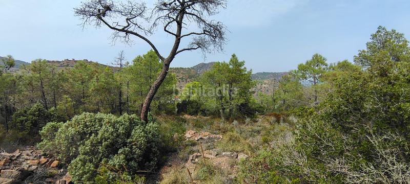 Foto b77b4831-489e-4a93-abfe-600b48b4a8d9. Rural plot in urbanizacion el roden 328 in Segart