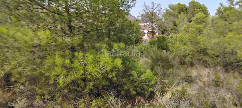 Foto ba9c86db-c5d5-478d-a7b0-28d60b0240f4. Rural plot in urbanizacion el roden 328 in Segart