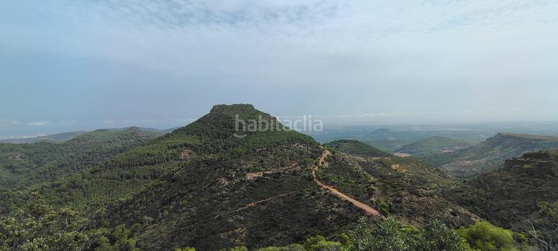 Foto bcf2c7b9-7500-406d-9b72-3832d867f843. Rural plot in urbanizacion el roden 328 in Segart