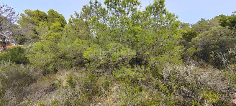 Foto c64a7ce3-6b1d-46a9-87b0-3758ec102db9. Rural plot in urbanizacion el roden 328 in Segart