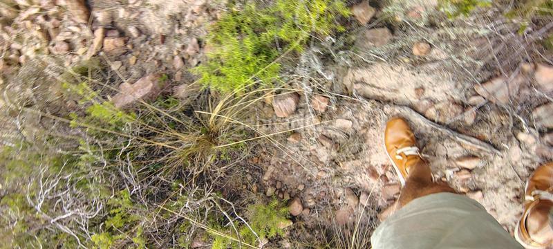 Foto c865ebe4-a1aa-4f31-89bb-6f4ad8049e1d. Rural plot in urbanizacion el roden 328 in Segart