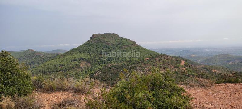 Foto cbfced77-d167-424d-8732-b05d6f22df95. Rural plot in urbanizacion el roden 328 in Segart
