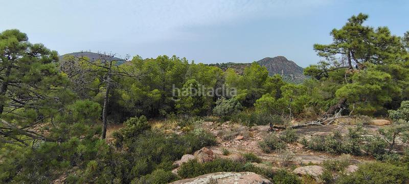 Foto d1662d10-7f29-40d1-8d10-adc8cc91c6dc. Rural plot in urbanizacion el roden 328 in Segart