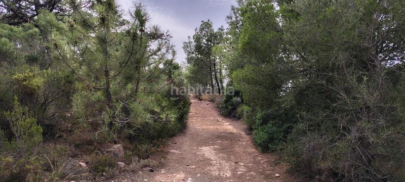 Foto d1df68c5-8980-46a0-8276-ca30902c2a42. Rural plot in urbanizacion el roden 328 in Segart