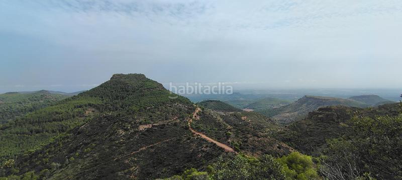 Foto decbe24c-1749-4d89-ad45-87bd6b21a9fe. Rural plot in urbanizacion el roden 328 in Segart