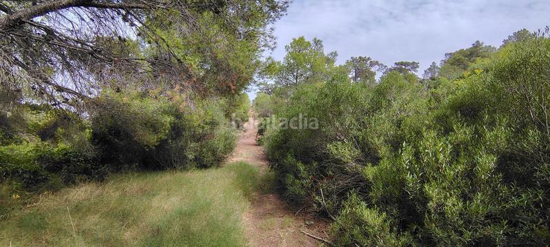 Foto e48c1a86-80b4-40bf-a377-5821740dcb8d. Rural plot in urbanizacion el roden 328 in Segart