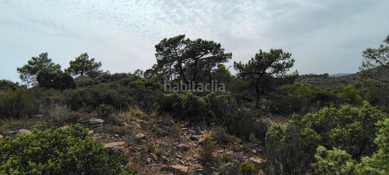 Foto e9a9bd52-327a-4066-9ebb-21e624d92659. Rural plot in urbanizacion el roden 328 in Segart