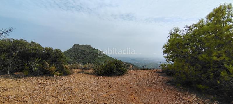 Foto ea691440-0b7b-46ca-b996-9591d9c2cc60. Rural plot in urbanizacion el roden 328 in Segart