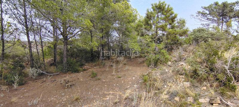 Foto f54db29c-0b64-467c-a911-bab9cff28328. Rural plot in urbanizacion el roden 328 in Segart