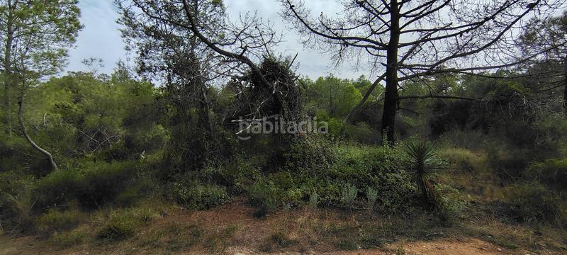 Foto f71cd297-5399-4403-90a2-9a25e363e050. Rural plot in urbanizacion el roden 328 in Segart