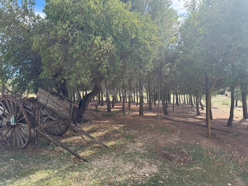 Foto 1256ba3f-5d35-4927-9ebc-c79d9335e810. Casale in camino camino parpacen 22 in Huéscar