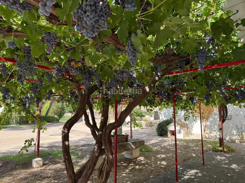 Foto ca66f211-3da6-4293-a2b2-cb8ed9677245. Casale in camino camino parpacen 22 in Huéscar