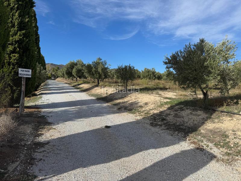 Foto cdaaf50c-0eaa-4266-aa95-66cc6815d595. Casale in camino camino parpacen 22 in Huéscar