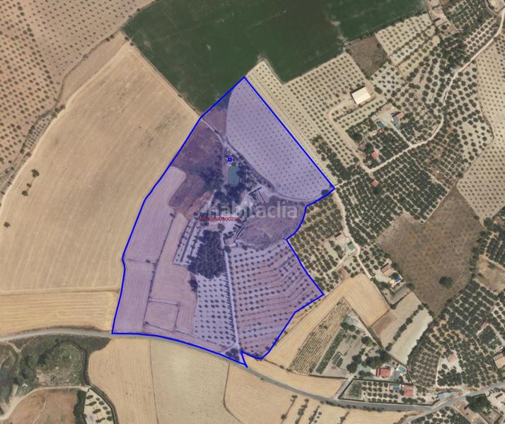 Foto e370b52b-ed03-4f6e-9eb0-7429922e25ae. Casale in camino camino parpacen 22 in Huéscar