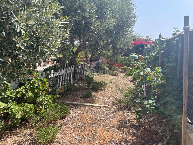 Foto 5242904d-e4c2-4645-b235-0c002373e322. Masía finca rústica con encanto en aigua oliva en Benicarló