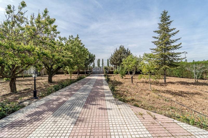 Foto 0c79e551-4361-478f-801b-39651f3cf903. Casa amb calefacció aparcament piscina a Tudela de Duero