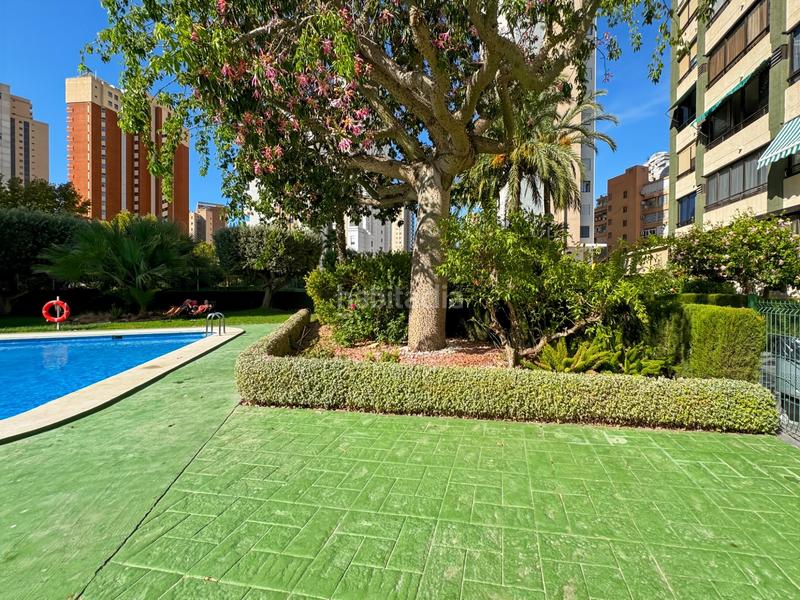 Foto 0e66322e-a718-42d3-b927-3054274bb6af. Apartament amb aparcament piscina a Levante Alto Benidorm