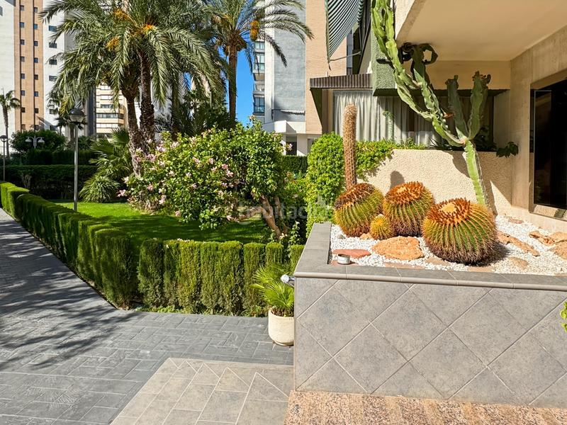 Foto 4a9725f6-41dd-4c54-b19e-f77a50e3ddf3. Apartament amb aparcament piscina a Levante Alto Benidorm
