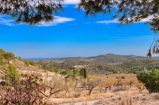 Mas  Relleu. Finca rústica en relleu de 160.000m con casa, agua propia y vist