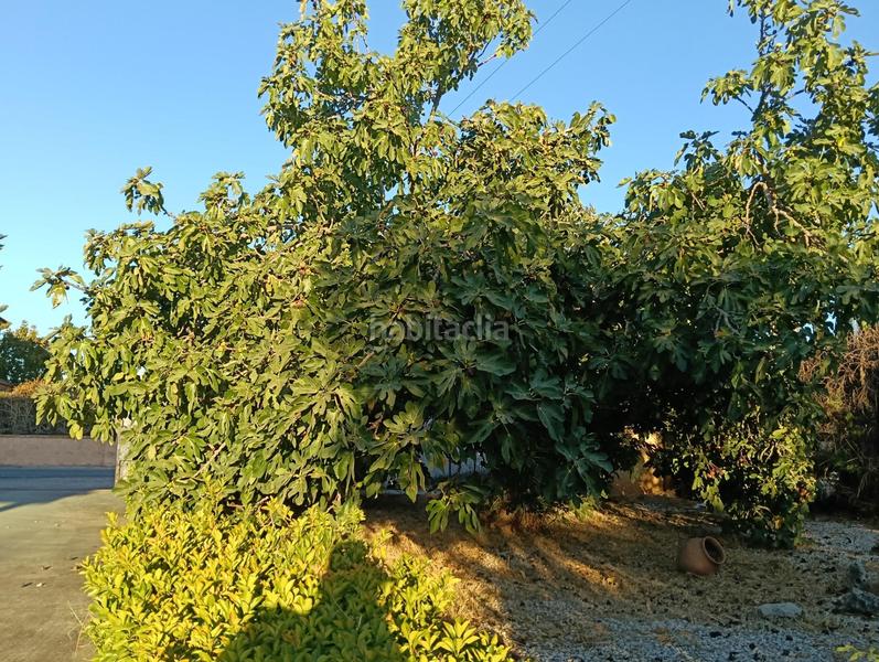 Foto daccf953-db5e-4e25-9725-b8770a5d5d75. Xalet amb aparcament piscina a El Higuerón Córdoba
