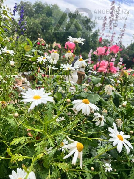 Foto 0835b34c-24c4-49db-ada0-d5c8b5b16caf. Mas dans vía polígono 8 paraje 214 el jaral 211 dans Mérida
